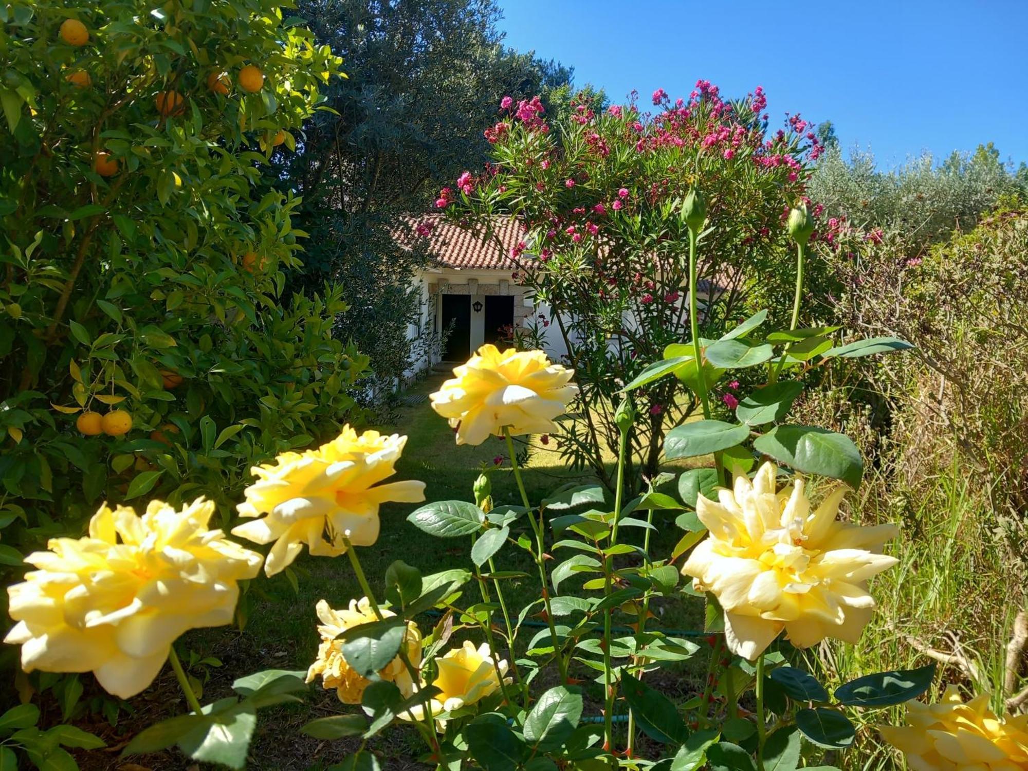 Casas Do Zagao - Turismo Rural Carregal do Sal 외부 사진