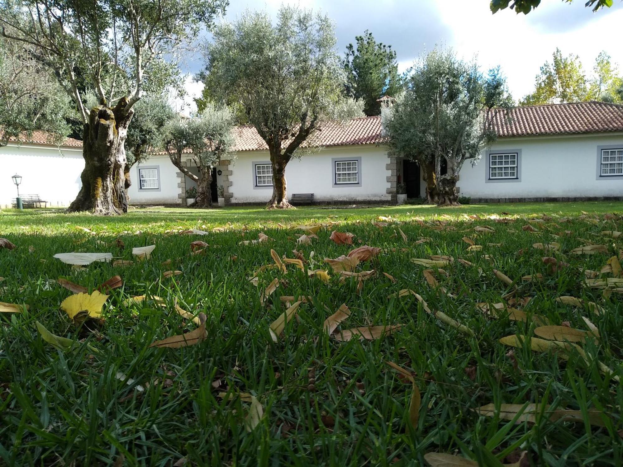 Casas Do Zagao - Turismo Rural Carregal do Sal 외부 사진